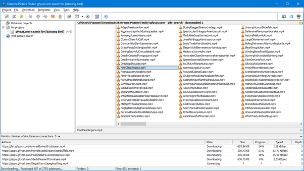 Gfycat and RedGifs batch video downloader