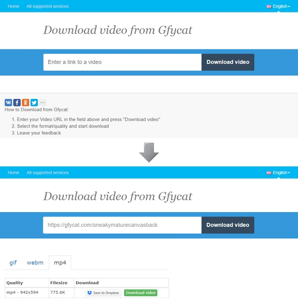 Gfycat.com downloader online