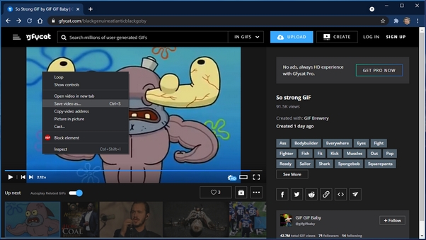 Manually save Gfycat.com videos one by one from browser